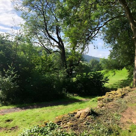 The Spring Slad Valley Cotswolds 페인즈윅 외부 사진
