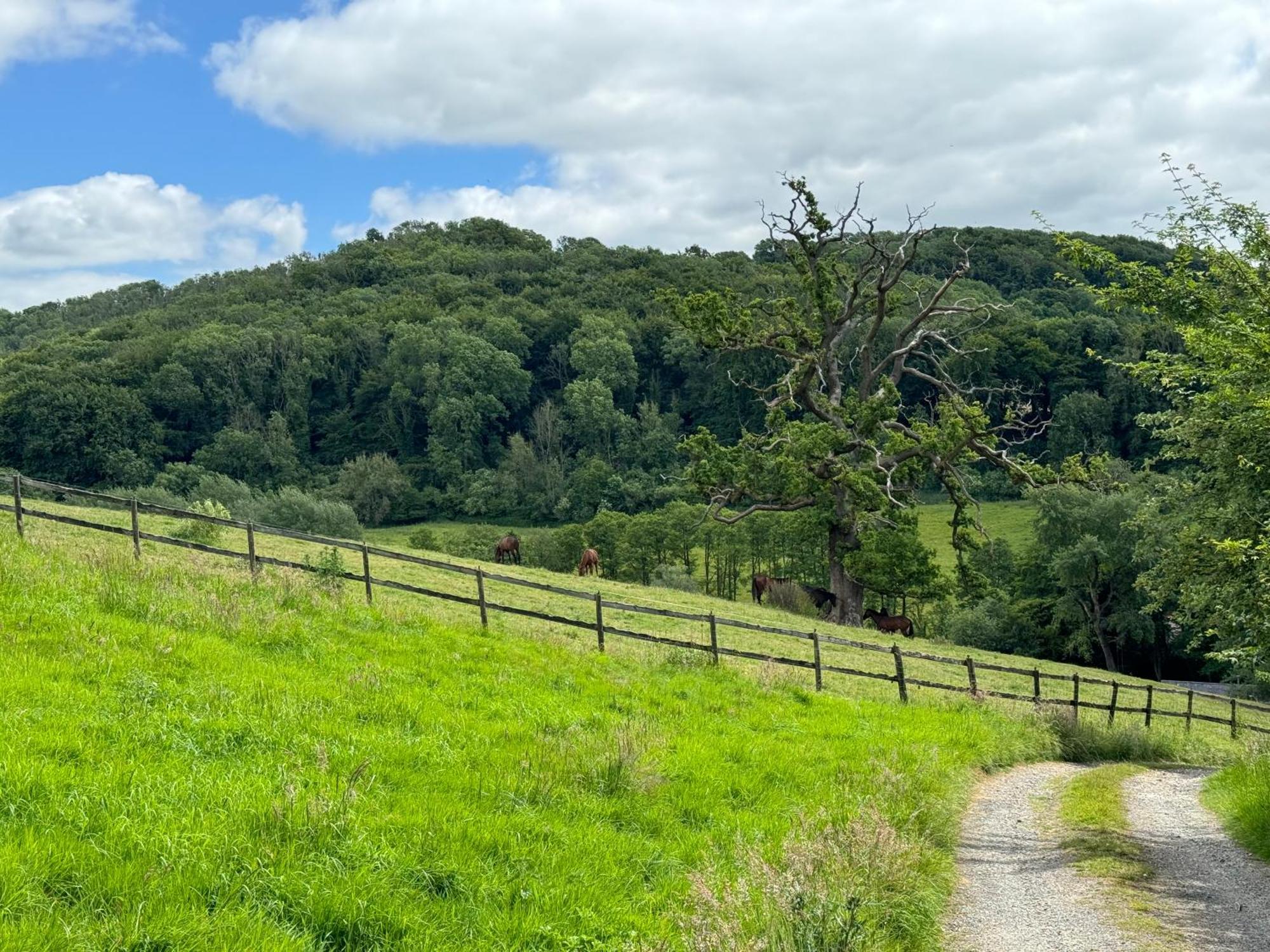 The Spring Slad Valley Cotswolds 페인즈윅 외부 사진